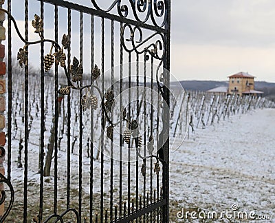 Gate in a snowy field in front of a winery Stock Photo