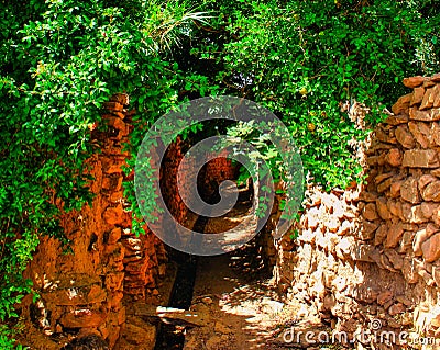 Gate throw green leaves and wall clay Stock Photo