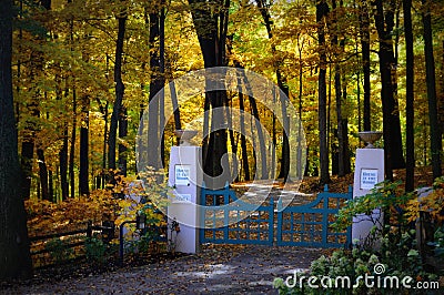 Gated Driveway, Fall Colors Editorial Stock Photo