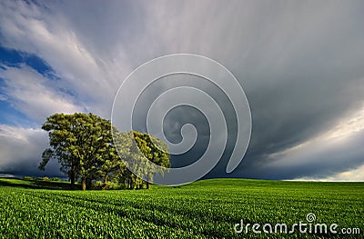 Gathering Storm over wheat field Stock Photo