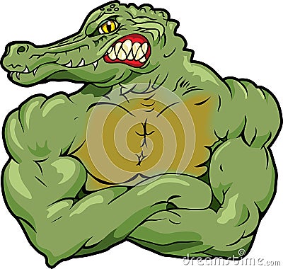 Gator Vector Illustration