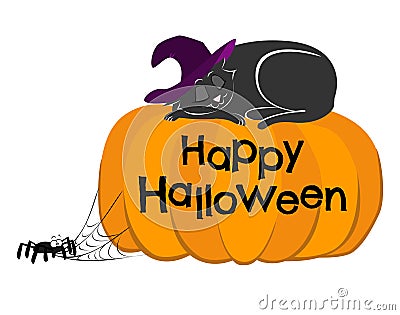 Gatto magico che dorme su Zucca di Halloween Vector Illustration