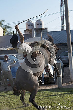 Gaucho cowboy Vaquero at a rodeo riding a horse at a show in Argentina Editorial Stock Photo