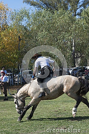 Gaucho cowboy Vaquero at a rodeo riding a horse at a show in Argentina Editorial Stock Photo