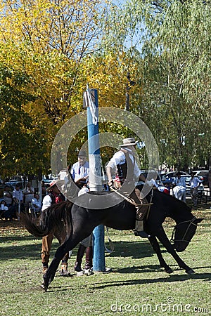 Gaucho cowboy Vaquero at a rodeo riding a horse at a show in Argentina Editorial Stock Photo