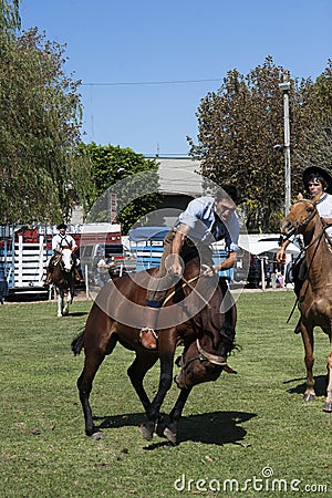 Gaucho cowboy Vaquero at a rodeo riding a horse at a show in Argentina Editorial Stock Photo