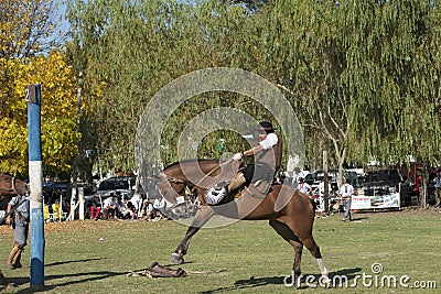 Gaucho cowboy Vaquero at a rodeo riding a horse at a show in Argentina Stock Photo