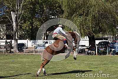 Gaucho cowboy Vaquero at a rodeo riding a horse at a show in Argentina Editorial Stock Photo