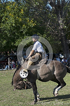 Gaucho cowboy Vaquero at a rodeo riding a horse at a show in Argentina Editorial Stock Photo