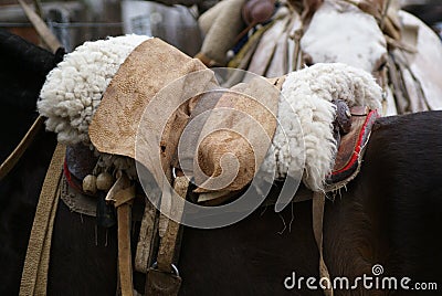 Gaucho horse saddle Stock Photo