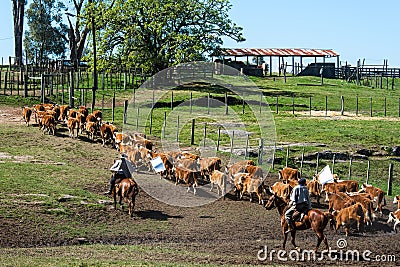 Gauchos in the campo, Uruguay Stock Photo