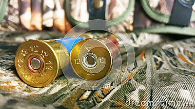 12 gauge for a gun with a cartridge case Stock Photo