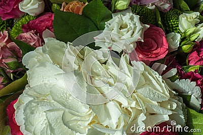 Gaussian blur is convenient for designers Beautiful bouquet of flowers ready Stock Photo