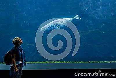 Gazes between curious seal and woman in the ocean aquarium Editorial Stock Photo