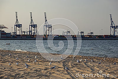 GdaÅ„ska, Poland, the Baltic Sea - Stogi Beach Stock Photo