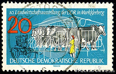 GDR - CIRCA 1962: stamp 20 East German pfennig printed in Germany GDR, DDR shows Cows in the milking parlor, circa 1962 Editorial Stock Photo