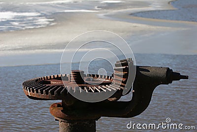 Gearwheel Stock Photo