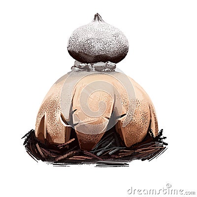 Geastrum pectinatum, beaked or beret earthstar mushroom closeup digital art illustration. Boletus has cream fruit body and looks Cartoon Illustration
