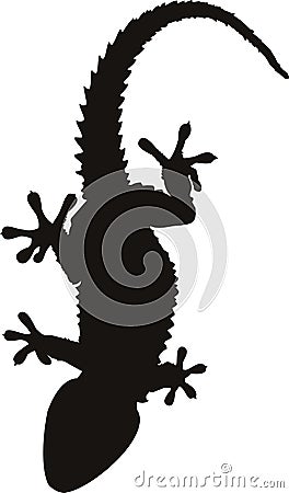 Gecko Vector Illustration