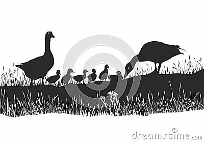 Geese family on spring meadow Vector Illustration