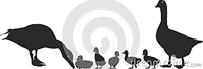 Geese family with young Vector Illustration