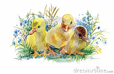 Geese flock swimming on pond watercolor vector illustration Vector Illustration