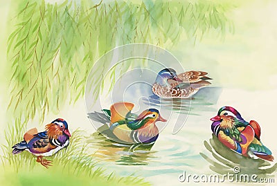 Geese flock swimming on pond watercolor vector illustration Vector Illustration