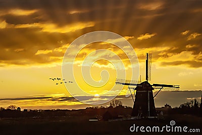 Geese flying against the sunset on the Dutch windmill Stock Photo