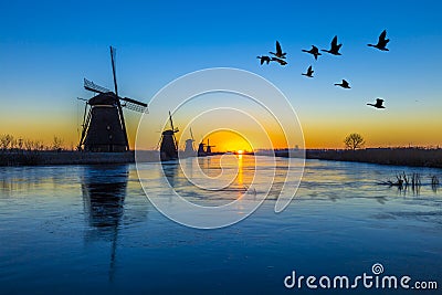 Kinderdijk - Geese flying over sunrise on the frozen windmills alignment Stock Photo