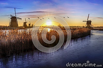 Geese flying over sunrise on the frozen windmills alignment Stock Photo