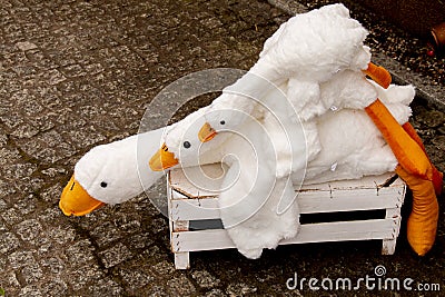 Geese plush, craze in Poland Stock Photo