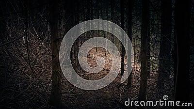 Gehen durch Holz in Richtung zur Öffnung Gehen durch Holz in Richtung zur Öffnung