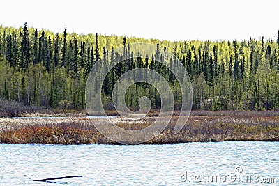 Geikie River in Saskatchewan Stock Photo