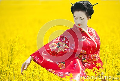 Geisha in the yellow field Stock Photo