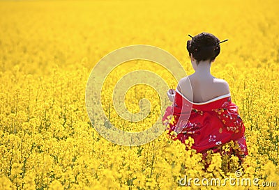 Geisha in the yellow field Stock Photo