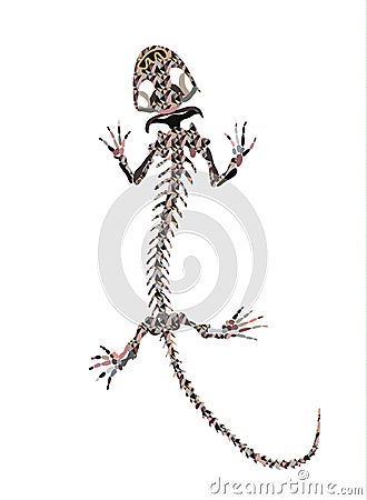 Gekko Ancient Skeletons Vector art. Stock Photo