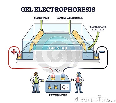 Gel electrophoresis method for separating mixtures, illustrated diagram Vector Illustration