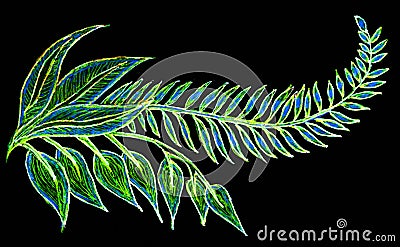 Hand drawing of a feathery colorful leaf. Stock Photo