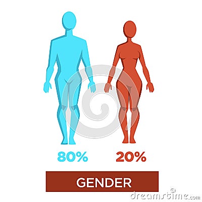 Human gender percentage masculinity and femininity vector illustration Vector Illustration