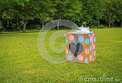Gender Reveal Party Box Stock Photo