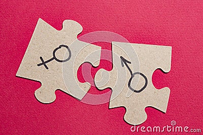 Gender signs of man and woman on puzzles. Sexual concept with the sex characteristics of men and women. Stock Photo