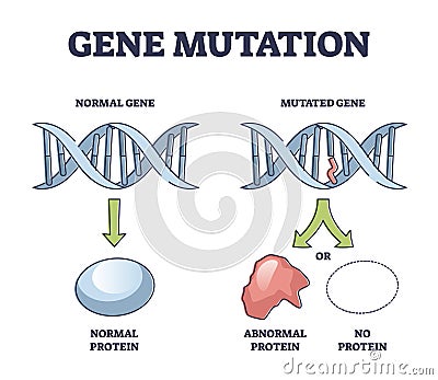 Gene mutation models comparison with abnormal helix protein outline diagram Vector Illustration