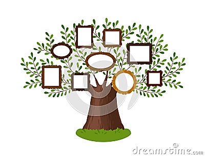 Genealogical family tree with picture frames. Pedigree, genealogy, lineage, dynasty concept. Vector illustration Vector Illustration