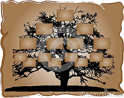 Genealogical tree Vector Illustration