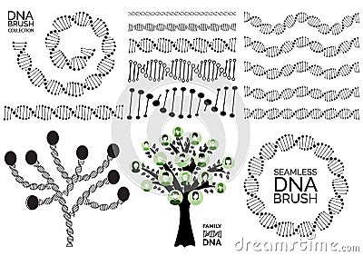 Genealogy tree for dna ancestors illustration isolated Vector Illustration