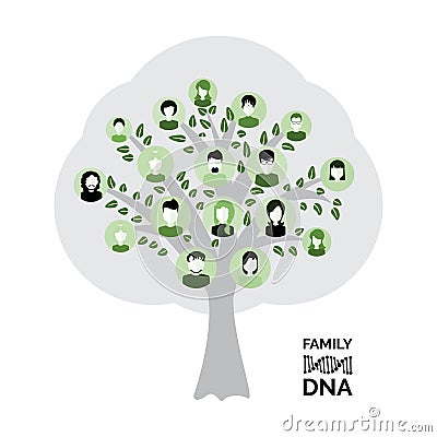 Genealogy tree for dna ancestors illustration isolated Vector Illustration
