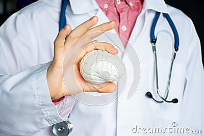 General practitioner or neurologist holding anatomical model of human brain. Concept photo in neurology, psychiatry, psychotherapy Stock Photo