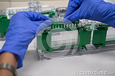 The general process preparation for protein levels detection is using western blot analysis. This method is involved in Protein Stock Photo