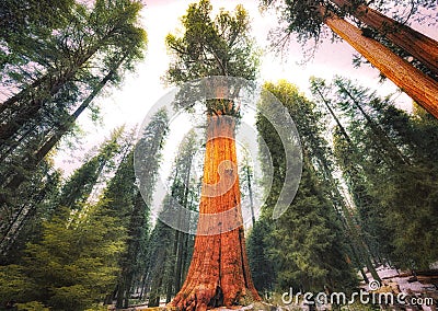 General Sherman Tree, Sequoia National Park Stock Photo