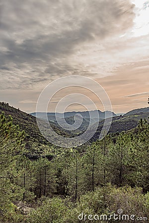 general view of the Monfrague Natural Park Stock Photo